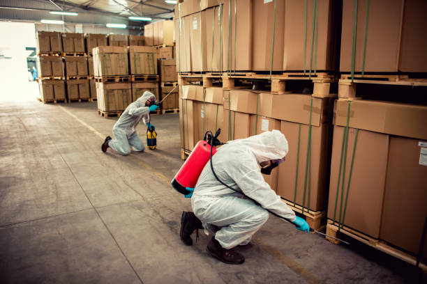 Best Pest Inspection Near Me  in Tenaha, TX