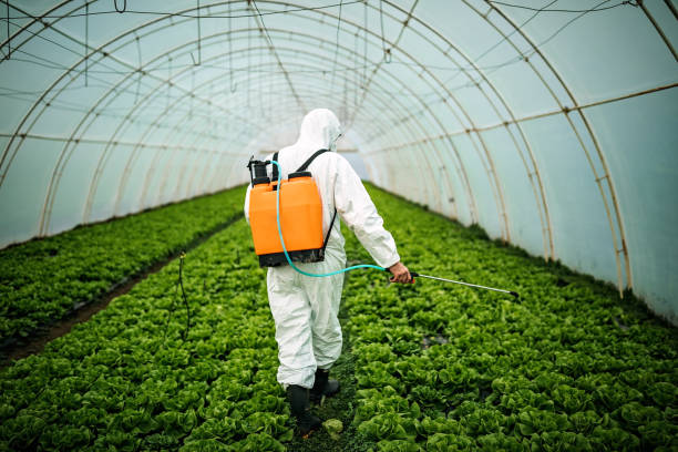 Best Pest Prevention Services  in Tenaha, TX