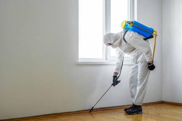 Best Best Pest Control Companies  in Tenaha, TX