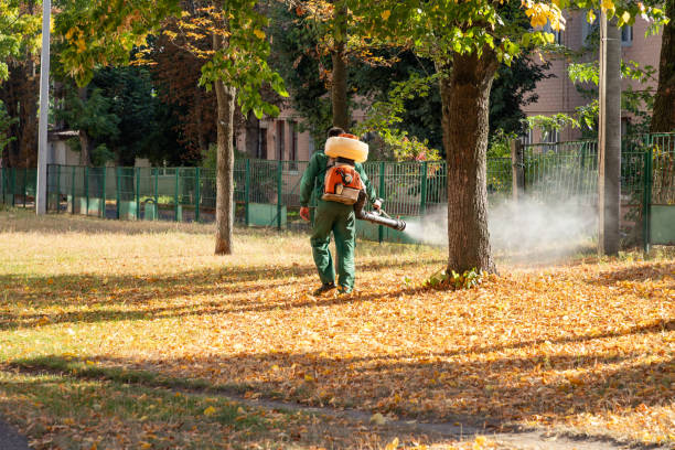 Best Commercial Pest Control Services  in Tenaha, TX