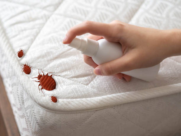 Best Cockroach Control Services  in Tenaha, TX