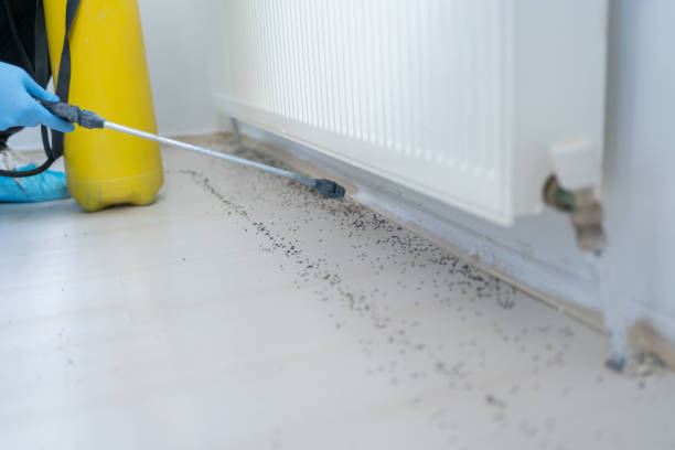 Best Emergency Pest Control  in Tenaha, TX